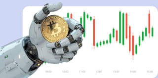 Dashboard view of the Level Vestwardance crypto exchange platform